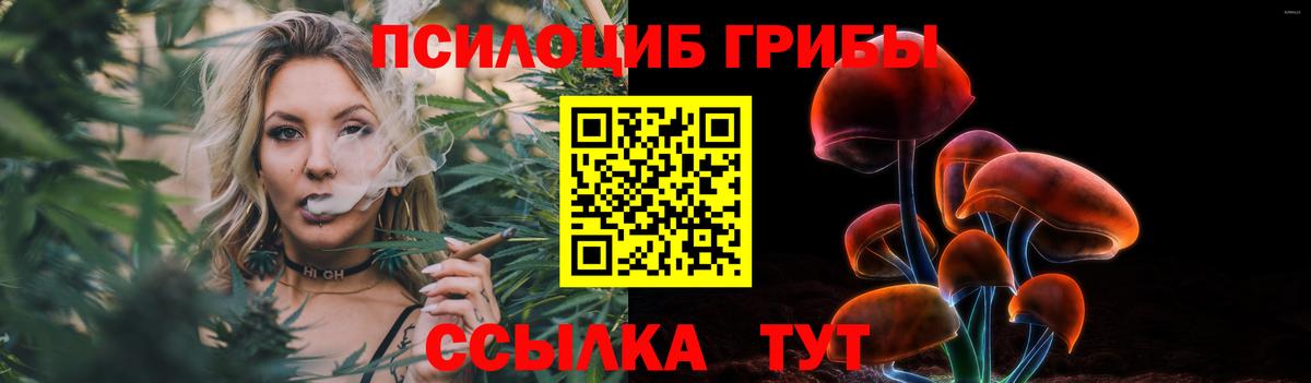 Гудермес  Галлюциногенные грибы прущие грибы  Вход с VPN  Псилоцибиновые грибы ЛСД 